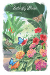 Watercolor Study - Tropical Butterfly House