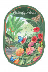 Watercolor Study - Tropical Butterfly House - Contour