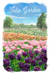 Watercolor Study - Tulip Garden