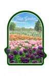 Watercolor Story - Tulip Garden - Contour