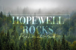 Hopewell Cape, New Brunswick - Photography - Fog & Forest - Hopewell Rocks Provincial Park