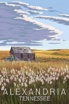 Alexandria, Tennessee - Painterly - Wheat Field & Shack