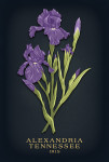 Alexandria, Tennessee - Vintage Flora Noir - Iris