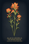 Alexandria, Tennessee - Vintage Flora Noir - Indian Paintbrush