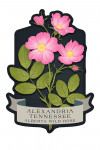 Alexandria, Tennessee - Vintage Flora Noir - Alberta Wild Rose - Contour