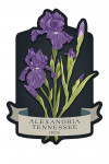Alexandria, Tennessee - Vintage Flora Noir - Iris - Contour