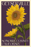 Geyserville, California - Letterpress - Sunflowers - Sonoma County