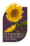 Geyserville, California - Letterpress - Sunflowers - Sonoma County - Contour