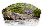 Guantanamo Bay, Cuba - Photography - Giant Iguana - Contour