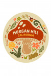 Morgan Hill, California - Boho Colorblock - Mushrooms - Contour