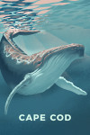 Cape Cod, Massachusetts - Lithograph - Humpback Whale