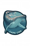 Cape Cod, Massachusetts - Lithograph - Humpback Whale - Contour