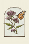 Vintage Linework - Monarch