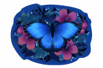 Storybook - Blue Morpho - Contour