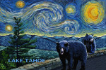 Lake Tahoe - Starry Night - Black Bears