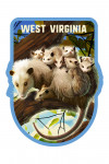 West Virginia - Lithograph Wildlife Series - Possum with Babies - Contour