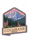 Cochrane, Alberta - Painterly - Bear and Spring Flowers - Contour