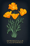 Springville, California - Vintage Flora Noir - California Poppy