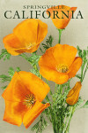 Springville, California - Poppy Flowers