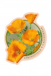 Springville, California - Poppy Flowers - Contour