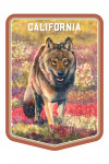 California - Watercolor Stuyd - Gray Wolf - Contour