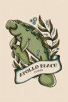 Apollo Beach, Florida - American Traditional - Manatee