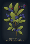 Vintage Flora Noir - Huckleberry