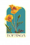 Topanga, California - Contour
