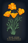 San Jose, California - Vintage Flora Noir - California Poppy