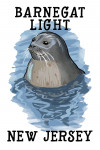 Barnegat Light, New Jersey -  Harbor Seal