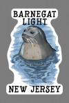 Barnegat Light, New Jersey -  Harbor Seal - Contour