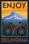 Bellingham, Washington - Enjoy the Ride - Mountain Bike Scene