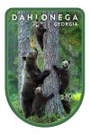 Dahlonega, Georgia - Photography - Black Bears in Tree - Contour