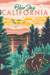 Blue Jay, California - Explorer Series - Bear & Mountains