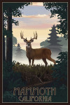 Mammoth, California - Painterly - Deer & Sunrise
