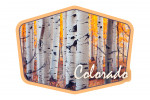 Colorado - Photography - Aspen Trees - Fall Colors - Contour