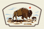 Vintage Linework - Bison