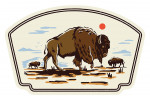 Vintage Linework - Bison - Contour