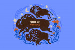 Moiese, Montana - Boho Colorblock - Bison