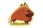 Midcentury - Bison - Contour