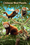 Lithograph Wildlife Series - Chinese Red Panda