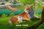 Lithograph Wildlife Series - Amur (Siberian) Tiger
