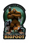 This Forest is Protected by Bigfoot - Contour
