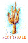 Scottsdale, Arizona - Cactus - Watercolor