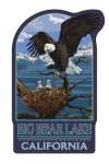 Big Bear Lake, California - Bald Eagle & Chicks - Contour