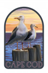 Cape Cod, Massachusetts - Seagulls - Contour