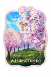 Washington DC - Lithograph - Cherry Blossom - Contour