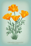 Grass Valley, California - Vintage Flora - State Series - California Poppy - Lantern Press Artwork