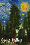 Grass Valley, California - Starry Night - National Park Series