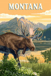 Montana - Painterly - Moose